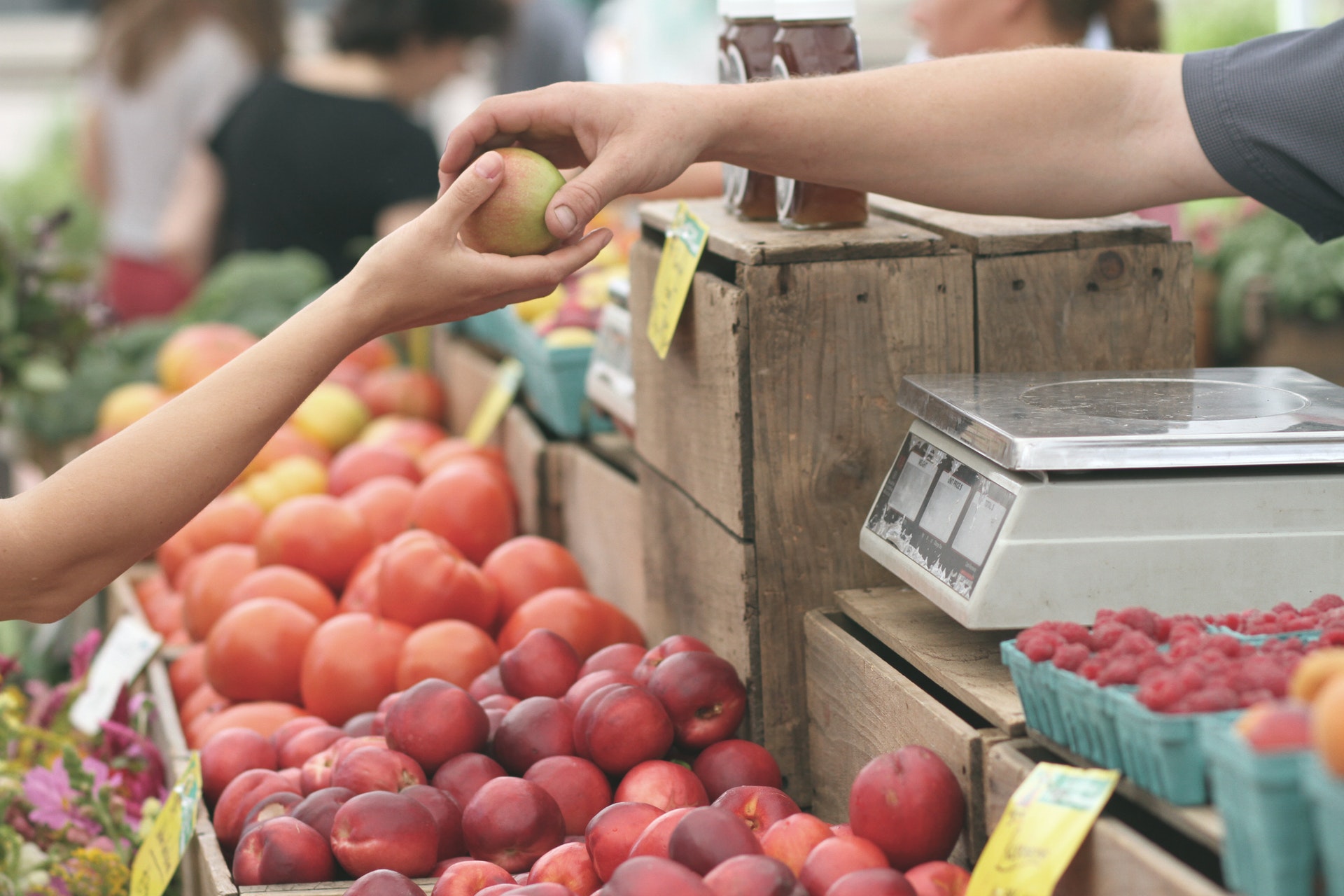 The Importance of Shopping Local