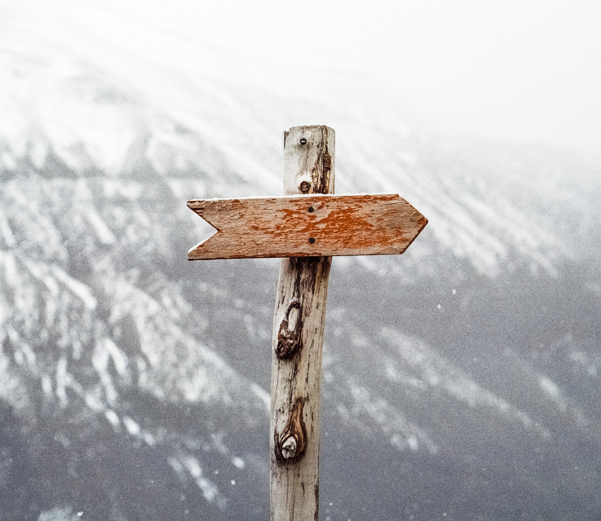 Content Marketing. Don’t follow the pack – be the pack!