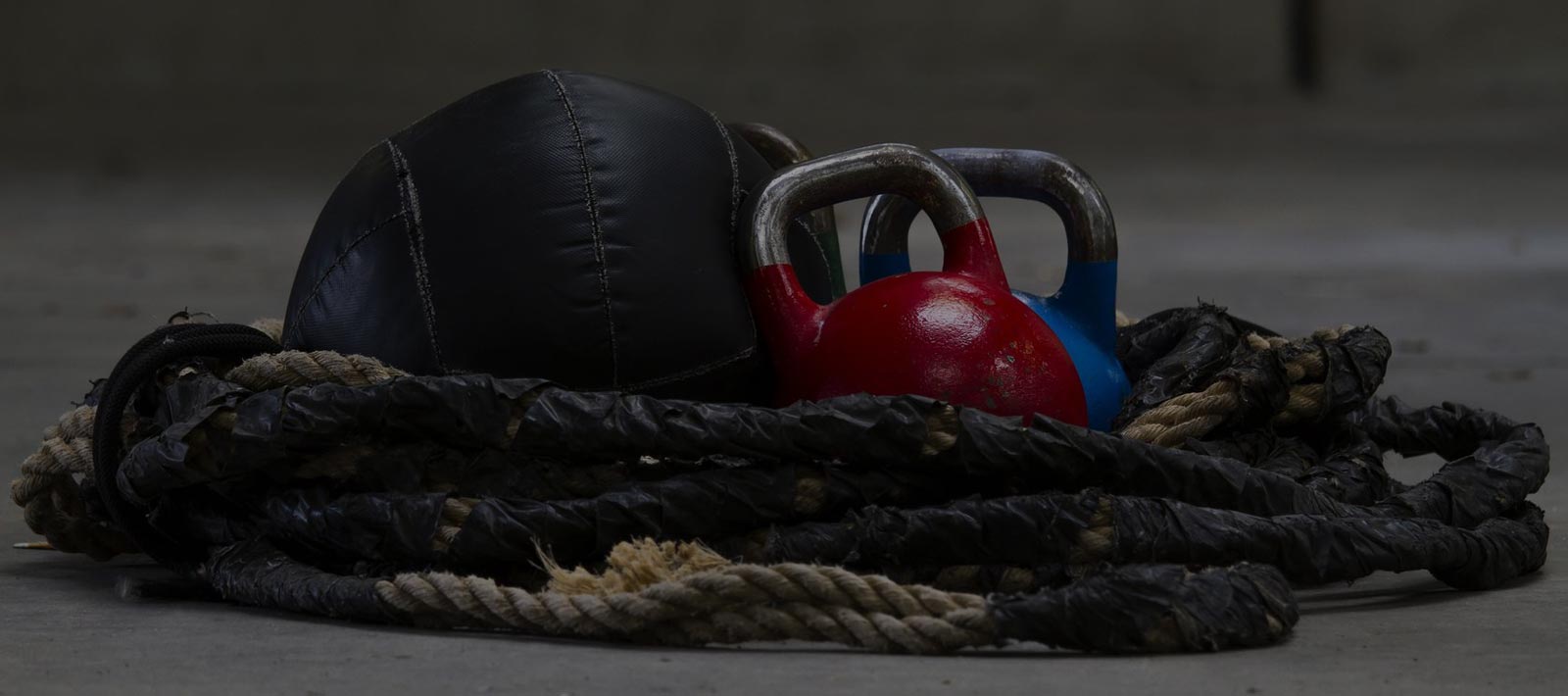 Project Train Together Web Design Gets Fit!