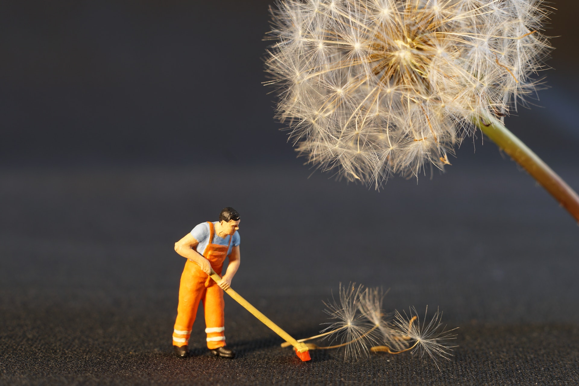 Reputation Management For Small Business